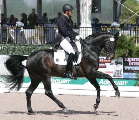 Shakespeare RSF, 10 years old, (Sandro Hit x EM Acapella (Arrian-EM Papagena/Pablo) competes this week in the 2014 CDIO Nations Cup with Marcus Orlob Photo: Betsy LaBelle