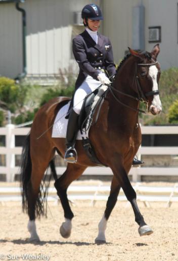 Shannon Dahmer and Rock On extend during the FEI Freestyle Test of Choice at the Colorado Horse Park's High Prairie Dressage II.