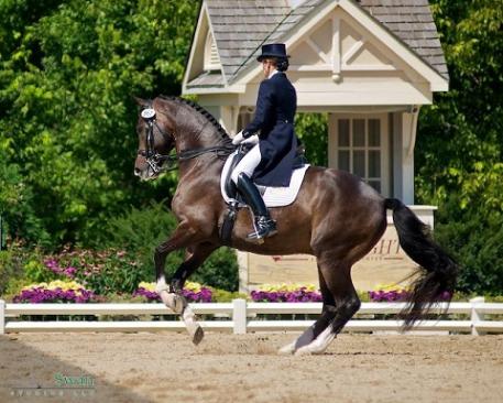 Sharon McCusker and Wrigley (Photo: Swan Studios)