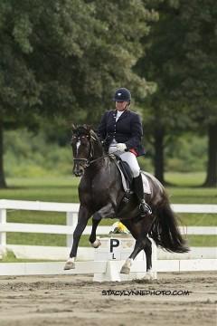 Silke and Salmantino an Oldenburg Stallion owned by Jeanne Van Nuys Hitt