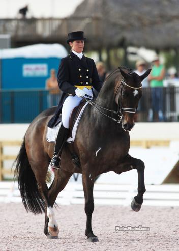 Vilhelmson-Silfven scored a 72.681% on Don Auriello, a 10 year old Hanoverian by Don Davidoff owned by Lovsta Stuteri, which was impressive since this is his first show in Florida this season (Photo: Mary Phelps - phelpsphotos.com)