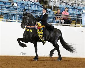 Horse of the Year Sjoerd (Photo: Rick Osteen)