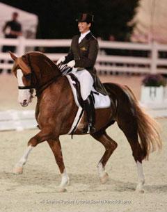 De Feiner Star (Photo Hoof Print Images)