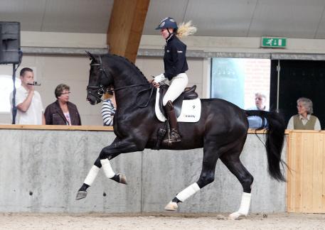 Everdale (s.Lord Leatherdale)
