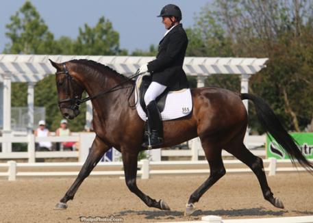 Ridden by Craig Stanley (Madera, CA) Brenda Linman's KWPN mare Caliente DG place third and were to top American bred Photo: Mary Phelps