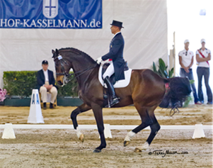 The #1 ranked rider in the U.S., Steffen Peters will compete during CAlifronia Dreaing Productions' upcoming CDI competitions. (Photo: Terri Miller)