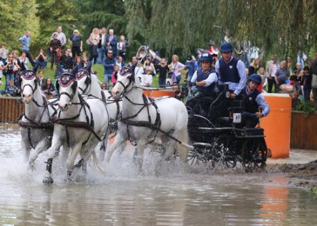 Jacob Arnold participated as head groom and backstep for American 4-in-Hand Driver, Lisa Stroud the 2013 Pony Combined World Championships in Pau, France. photo: Mary Phelps