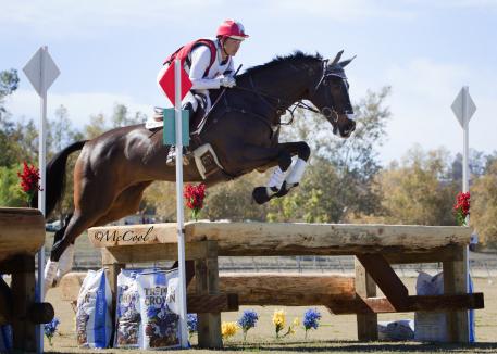 Tammy Smith on Fleur De Lis, leaders of the CCI1* at the Galway Downs International Three-Day Event. (Amy McCool photo)