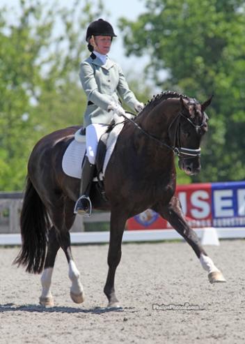 Alice Tarjan's Hanoverian stallion Somer Hit (Sandro Hit-Rhussia by Rotspon), who finished third in the 2011 Markel/USEF National Young Horse Dressage Championships, finished the six-year-old division.Photo: Mary Phelps - phelpsphotos.com