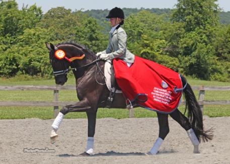 Alice Tarjan's Hanoverian stallion Somer Hit (Sandro Hit-Rhussia by Rotspon), who finished third in the 2011 Markel/USEF National Young Horse Dressage Championships, finished the six-year-old division.Photo: Mary Phelps - phelpsphotos.com