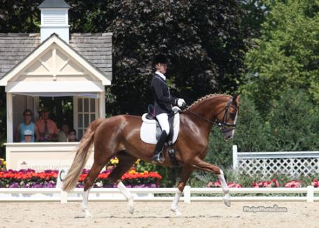 Alice Tarjan and Elfenfeuer (Florencio I-Elfensonne by Sion) Markel/USEF National Young Horse Dressage Championship for Five-Year-Olds