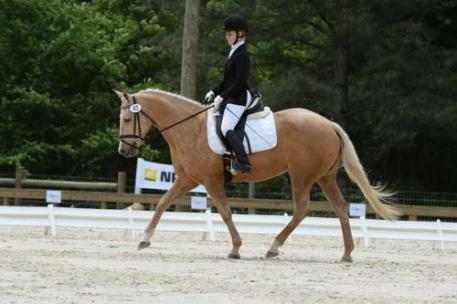 Taylor Pence and her lovely mare Goldie put in a solid ride with a score of 32.8.