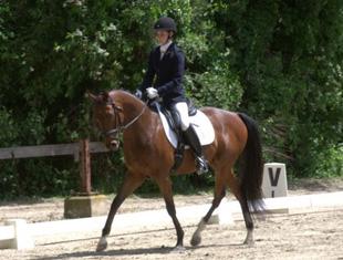 Winning at Dressage! 
