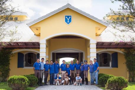 Wellington, Florida at Elemis and Cinnia Ranch owned and managed by Yeguada de Ymas  Photo: Maria Guimón