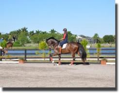 Yvonne riding at the Palm Beach Equine Sports Complex