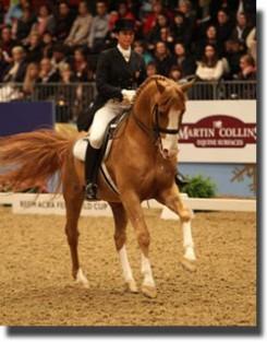 Cornelissen and Parzival Make it a Double at Olympia - Haddad Forges ...