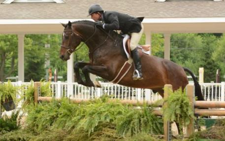 Ransom and Tim Goguen won a First Year Green class at the Showplace Spring Spectacular III WCHR week. Photo By: Andrew Ryback Photography