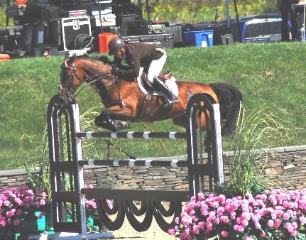 Coming in second was Todd Minikus, of Loxahatchee, Florida, who managed a clear first round with Quality Girl despite the fact that the mare lost a front show early in the round. 