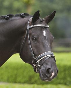 Totilas will not attend the 2012 London Olympic Games (Photo: sjoert.com)