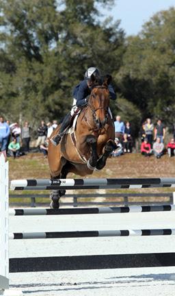 Tracy Fenney stayed in the top spot this week, but switched horses, jumping to the blue in the ,000 HITS Grand Prix, presented by Zotetis, with her own MTM Centano. She was twelfth with Friday’s winner MTM Timon. ©ESI Photography