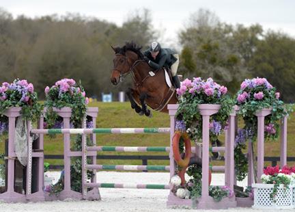 Tracy Fenney and MTM Centano on their way to a win in the ,000 SmartPak Grand Prix, presented by Zoetis, at HITS Ocala. ©ESI Photography