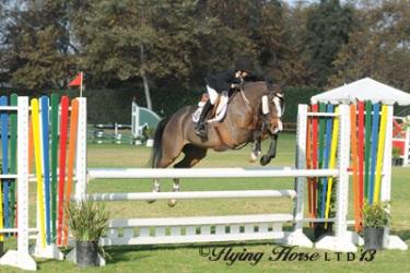 It's game on for Trent McGee and Super Mario in the jumper ring. Photo: Flying Horse Photography