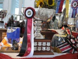 Trophy's from Dressage at Devon 