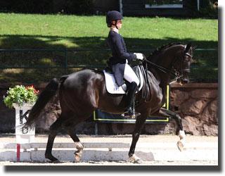 Lauren and Sagacious in the Freestyle at the 2011 Festival of Champions in Gladstone, NJ