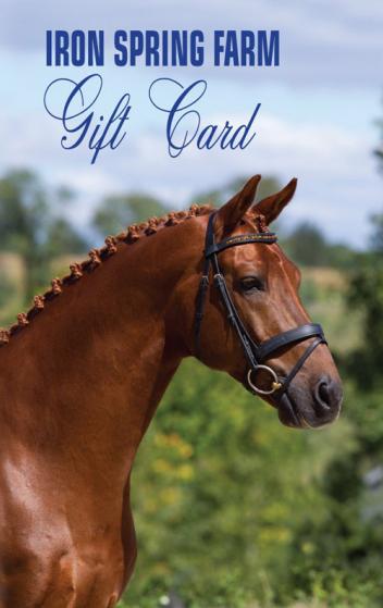 Gift card featuring KWPN stallion UB40 (Photo: Terri Miller)
