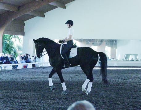 Angela Jackson rides Allure at the 2014 USDF Trainer's Conference. Photo: Betsy LaBelle