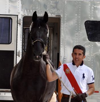 Dr. Cesar Parra leading his new Grand Prix mount, Van the Man off the trailer and onto US soil. (Photo: Laura Pradell)