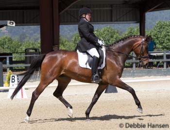 Vicky Stashuk-Matisi and Springfield get great scores and Open High Point ChampionPhoto: Debbie Hansen