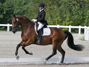 Vanessa Voltman and Ziezo won the 2010 GAIG/USDF Region 2 Second Level Open Dressage Championship at the Dressage by the Bay Fall Classic. Photo © 2010 Lauren Fisher/PMG
