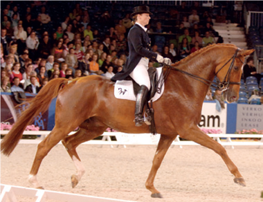 Warum Nicht FRH sired by Weltmeyer 
