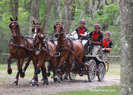 Chester Weber (USA) competing his team at the 2013 Live Oak International Combined Driving Event an important qualifier for the 2014 Alltech/FEI World Equestrian Game and the USEF National Four-In-Hand Championships to be held March 19-23
