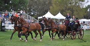 Chester Weber takes his victory lap after winning his 11th USEF National Four-in-Hand Championship (Picsofyou.com)
