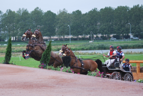 US Four-In-Hand Driver Chester Weber participated in the Alltech FEI World Equestrian Games 2014 in Normandy test event in 2013 winning the competition. (Photo courtesy of Madeleine Augustsson)