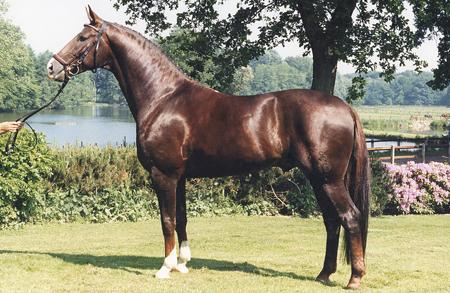 Donnerhall had the most representatives in Lexington