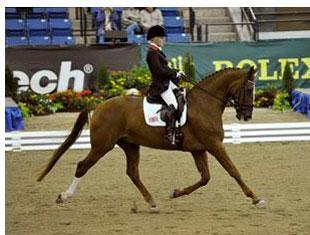 Grade 1b gold for a nearly flawless ride of Lee Pearson and Gentleman (Picture Kit Houghton FEI)