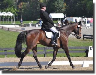 Jonathan Wentz and NTEC Jabriel (Photo; Lindsay McCall)