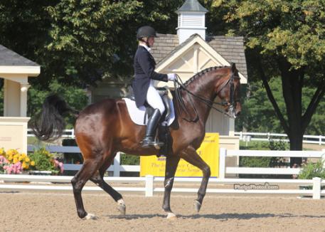 2013 Markel/USEF Developing Grand Prix Champion Laura Wharton-Mero (Woodstock, GA) and her own Zandor (Florencio x Nancy BS/Amulet) Photo: Mary Phelps