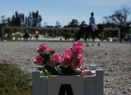 The warm-up arena at the White Fences show grounds  Photo: Betsy LaBelle