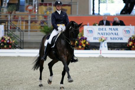 Premier Equestrian, a leading supplier of dressage arenas, horse jumps, arena footing and stable accessories is excited to congratulate, 2012 Olympic Dressage Rider, Adrienne Lyle and her horse, Wizard on an outstanding year of success