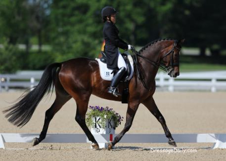 Hawaiian Taylor Yamamoto bought her 11-year-old Trakhener, Domino -by Cadeau out of Dividici by Hohenstein- as a five-year-old. Photo: Mary Phelps