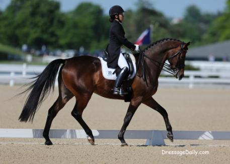 Hawaiian Taylor Yamamoto bought her 11-year-old Trakhener, Domino -by Cadeau out of Dividici by Hohenstein- as a five-year-old. Photo: Mary Phelps