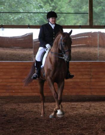 Lise Yervasi on Brendan Braveheart win Third Level-3 with 65+ at Summervale Dressage Festival 2011. Credit: Damien Yervasi