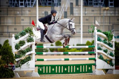 Dasha Ivandaeva aboard Autorytet In the CH-Y** show jumping finale. Photo Credit - Anthony Trollope for Shannon Brinkman Photography
