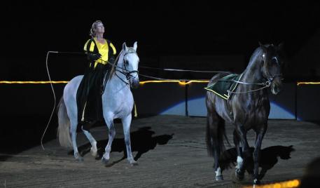 International rider and trainer Cherri Reiber performed a tandem driving demonstration with Zerbino Interagro and Vistor Interagro during the Pfizer Fantasia at Equine Affaire. (Photo: M&amp;A Photography)
