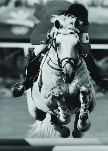 Equine Canada extends heartfelt condolences to the Hayes family on the passing of legendary show jumper Zucarlos - 1981-2013. File Photo - Hayes Co.