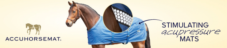 Accuhorsemat Banner